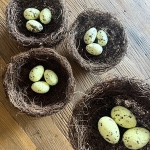 Feck Off Birds Whole Boat Kit — four handmade replica seagull nests with individually marked speckled eggs